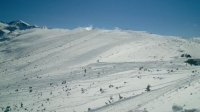 Markudzizi